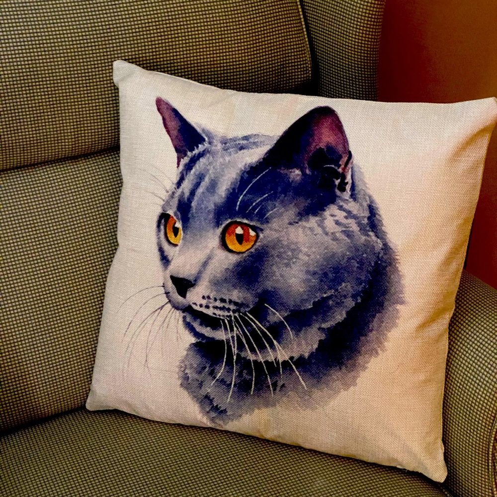 16 X 16 pillow cover new